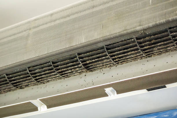 Best Duct Cleaning for Homes  in Atlanta, GA
